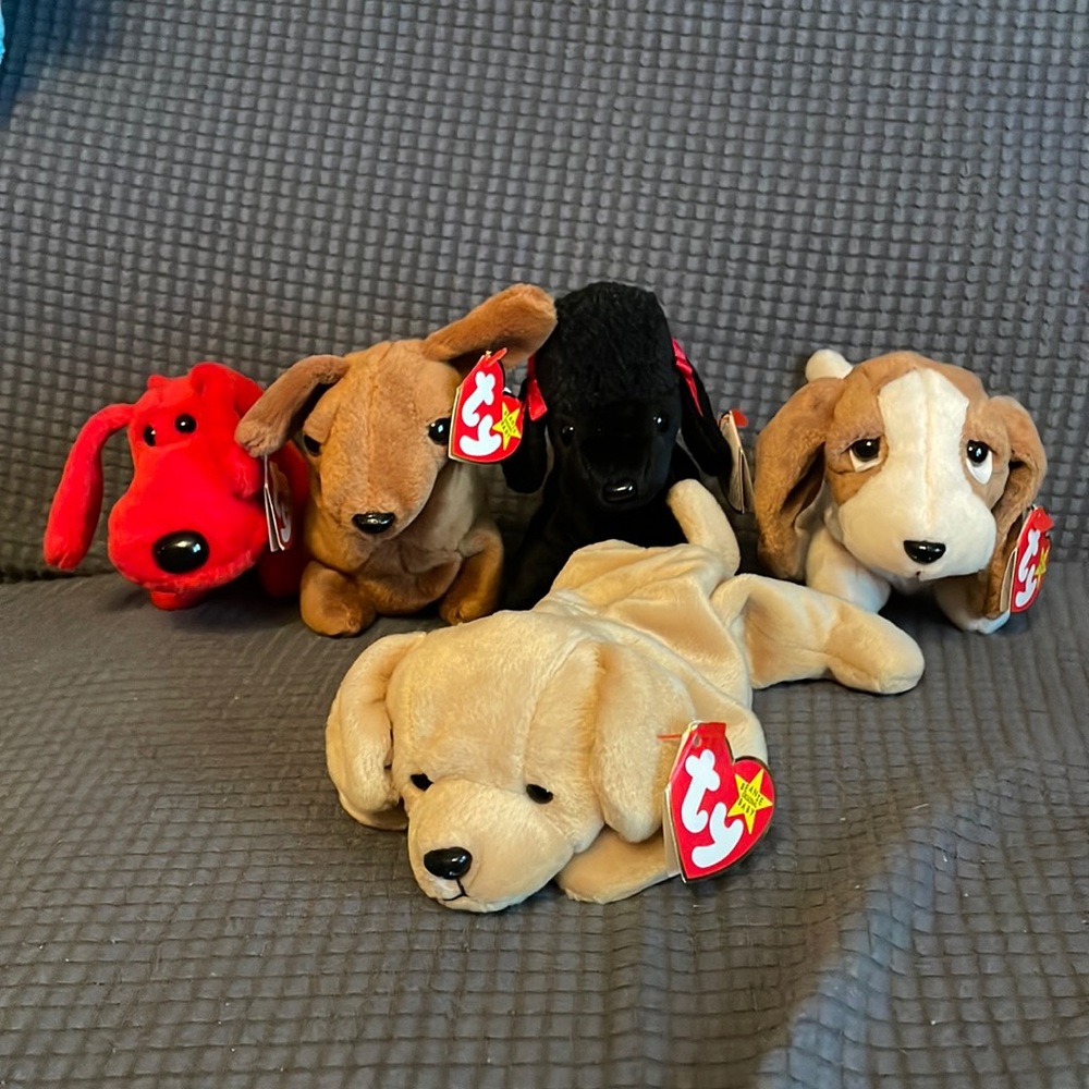 5 Ty Beanie Baby dogs
